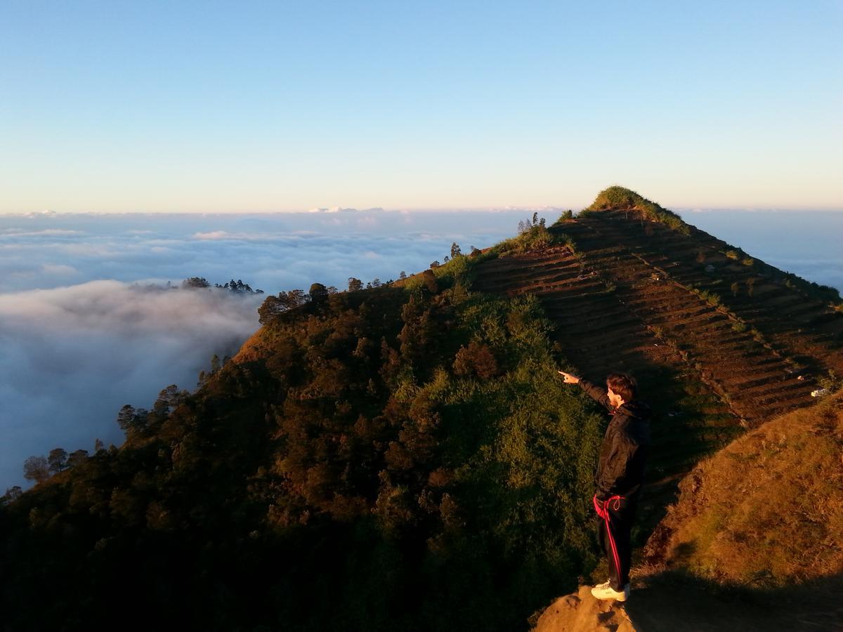 Harumi Dieng Wonosobo Exterior photo