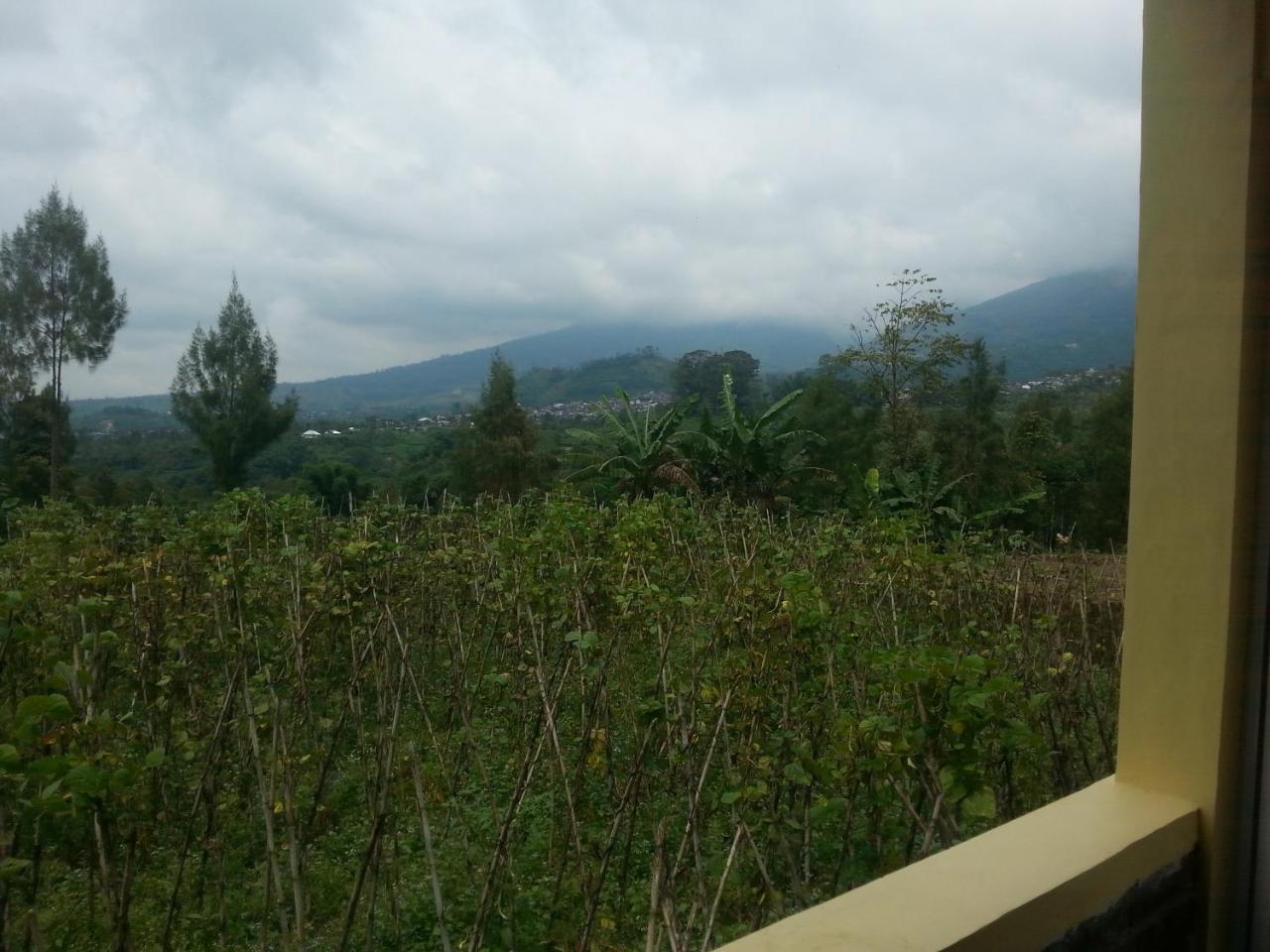 Harumi Dieng Wonosobo Exterior photo