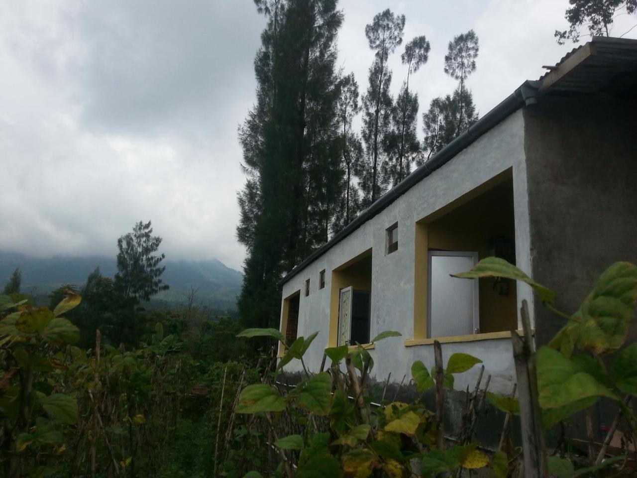 Harumi Dieng Wonosobo Exterior photo